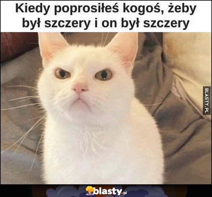 
    Kiedy poprosiłeś kogoś, żeby był szczery i on był szczery zły kot kotek