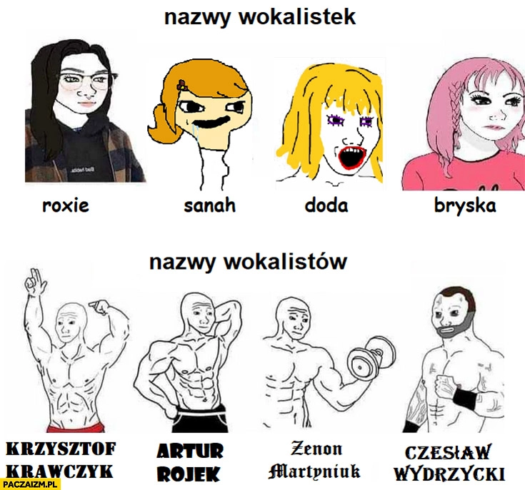 
    Nazwy wokalistek: Roxie Sanah Doda Brylska vs nazwy wokalistów: Krawczyk Rojek Martyniuk Wydrzycki