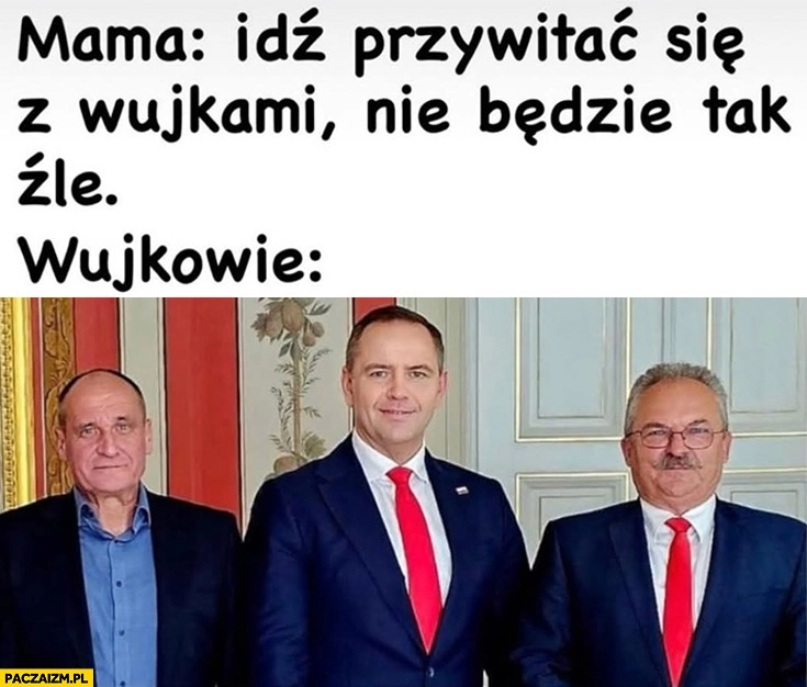 
    Mama: idź przywitać się z wujkami nie będzie tak źle, tymczasem wujkowie: Kukiz, Nawrocki, Jakubiak