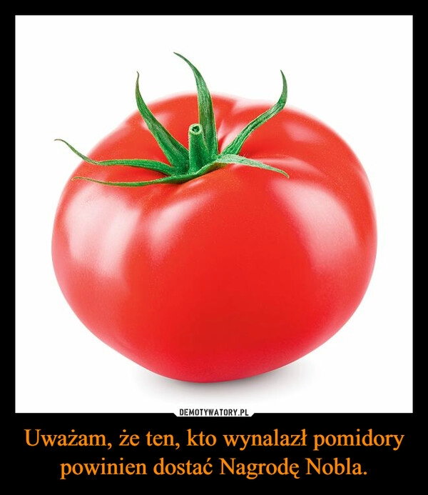 
    Uważam, że ten, kto wynalazł pomidory powinien dostać Nagrodę Nobla.