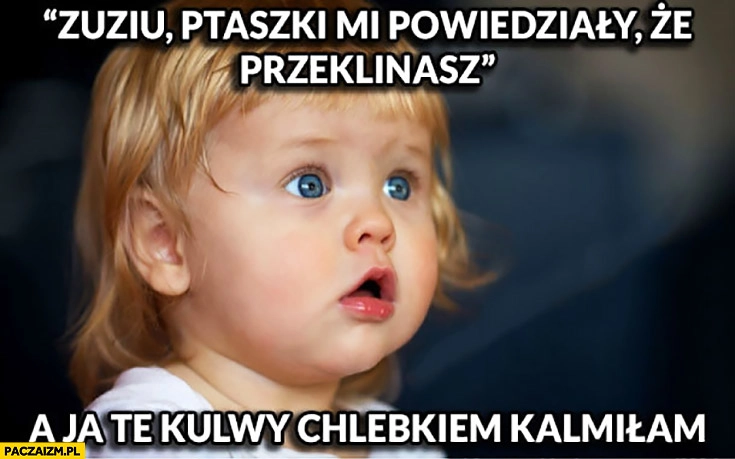 
    Zuziu ptaszki mi powiedziały, że przeklinasz. A ja te kulwy chlebkiem kalmiłam