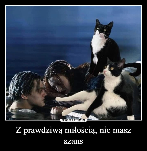 
    Z prawdziwą miłością, nie masz szans