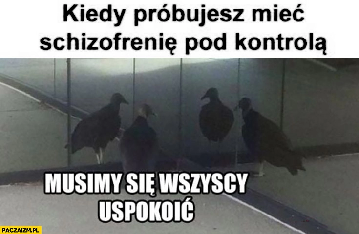 
    Kiedy próbujesz mieć schizofrenię pod kontrolą musimy się wszyscy uspokoić