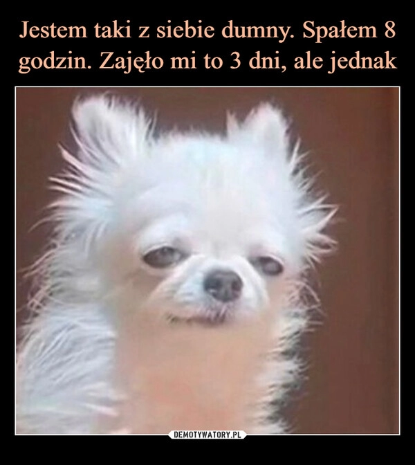 
    Jestem taki z siebie dumny. Spałem 8 godzin. Zajęło mi to 3 dni, ale jednak