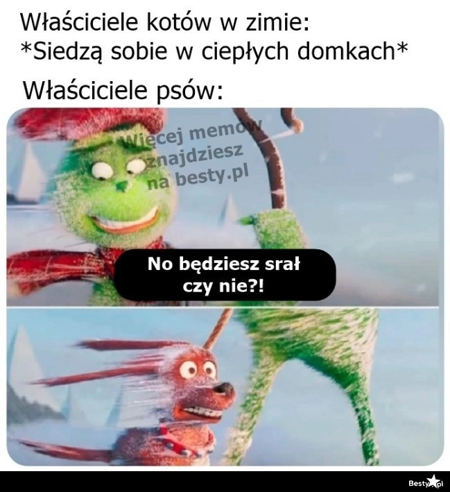 
    No decyduj się! 