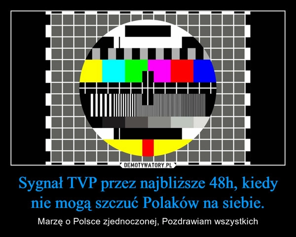 
    Sygnał TVP przez najbliższe 48h, kiedy nie mogą szczuć Polaków na siebie.