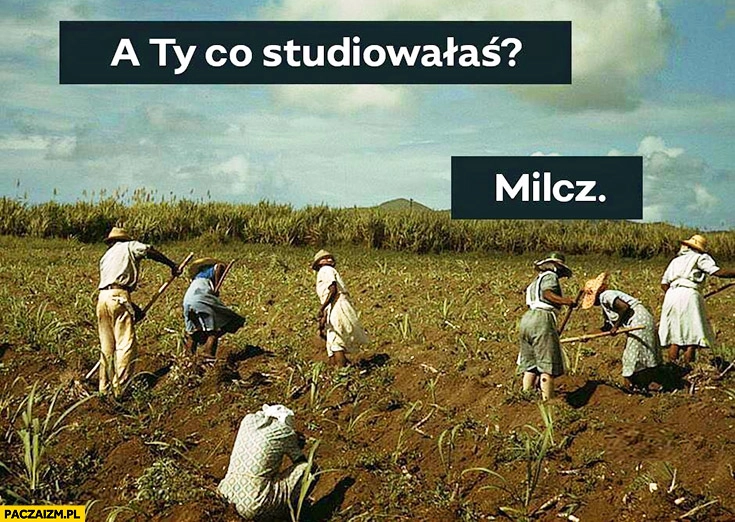 
    A Ty co studiowałaś? Milcz. Pracują w polu