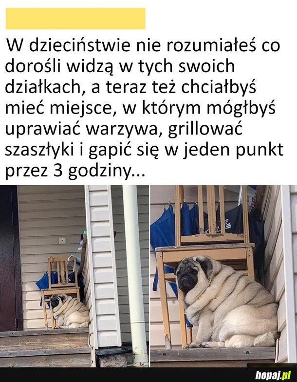 
    Chcę działkę na już.