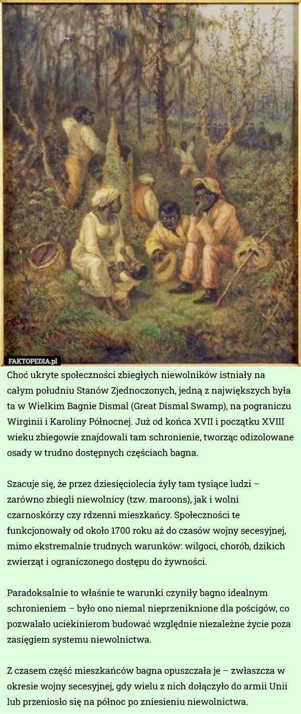 
    Choć ukryte społeczności zbiegłych niewolników istniały na całym południu...