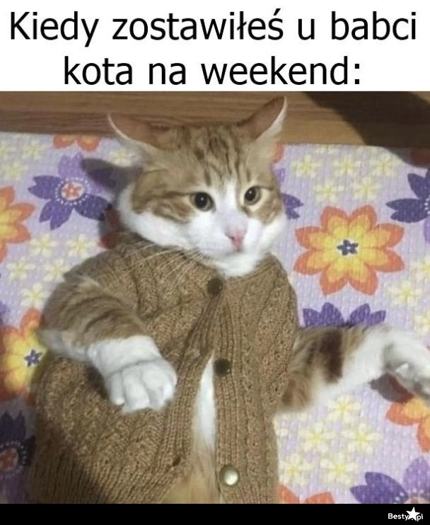 
    Kot na weekend 