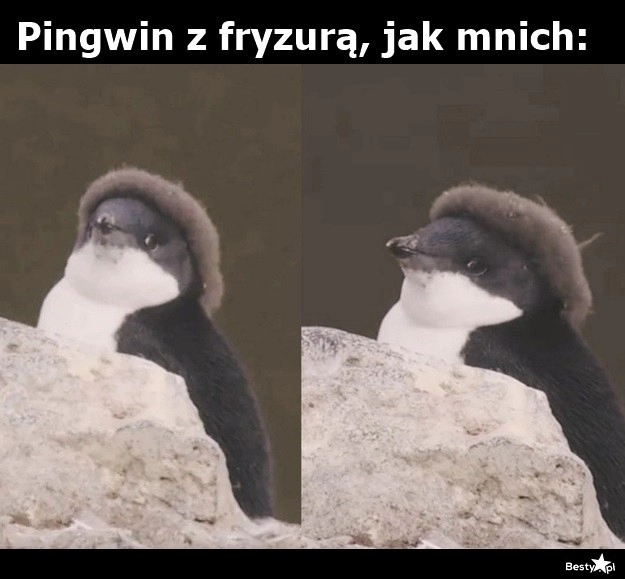 
    Fryzura na mnicha 