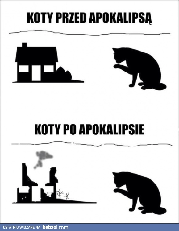 
    Koty