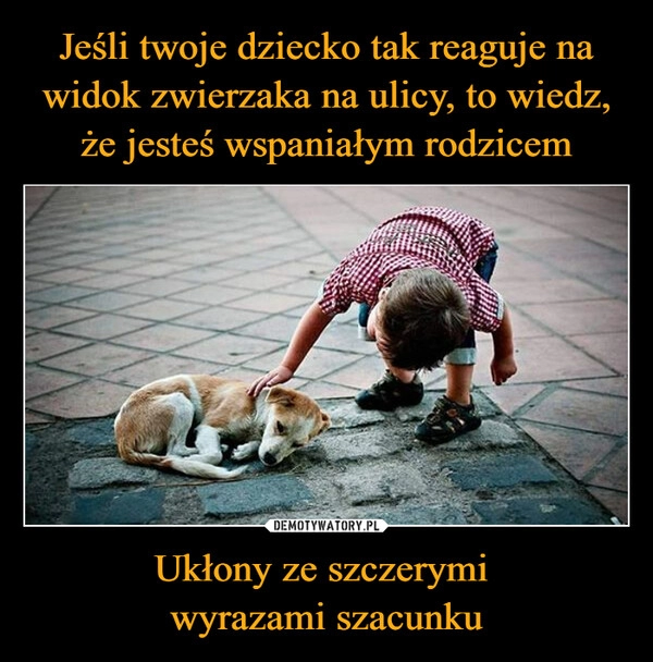 
    Jeśli twoje dziecko tak reaguje na widok zwierzaka na ulicy, to wiedz, że jesteś wspaniałym rodzicem Ukłony ze szczerymi 
wyrazami szacunku