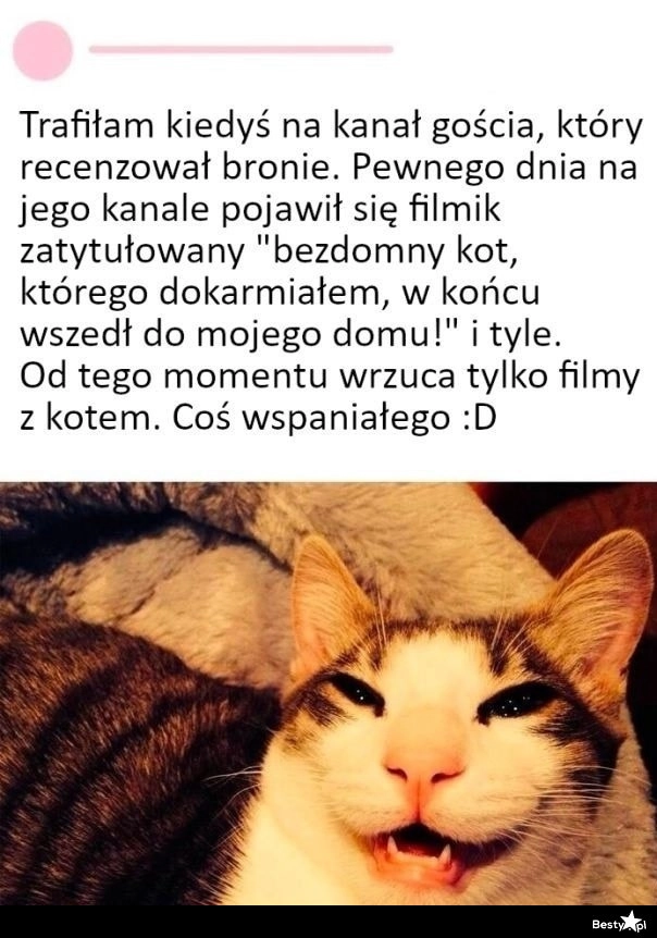 
    Zmiana contentu 