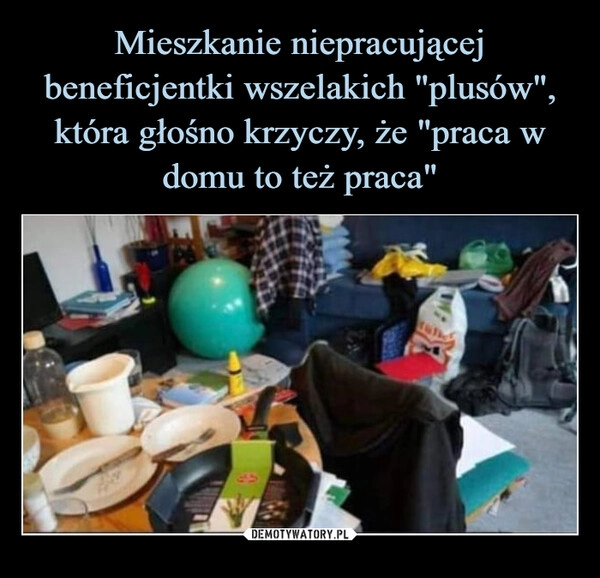 
    Mieszkanie niepracującej beneficjentki wszelakich "plusów", która głośno krzyczy, że "praca w domu to też praca"