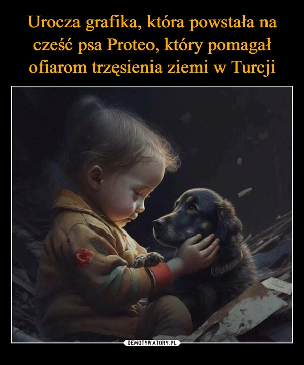 
    Urocza grafika, która powstała na cześć psa Proteo, który pomagał ofiarom trzęsienia ziemi w Turcji