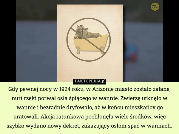 
    Gdy pewnej nocy w 1924 roku, w Arizonie miasto zostało zalane, nurt rzeki