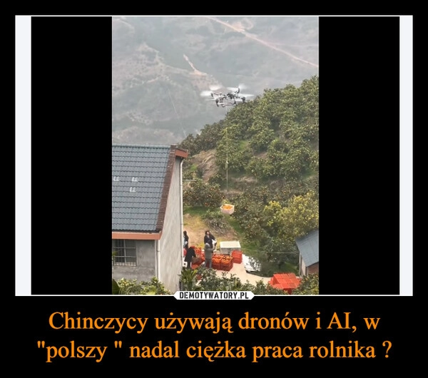 
    Chinczycy używają dronów i AI, w "polszy " nadal ciężka praca rolnika ?