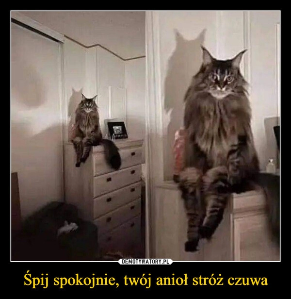 
    Śpij spokojnie, twój anioł stróż czuwa