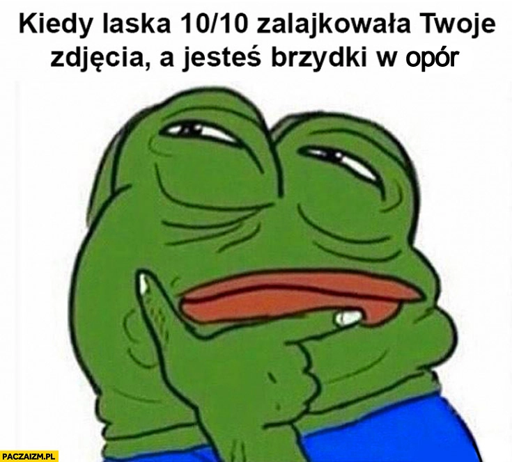 
    Kiedy laska 10 na 10 zalajkowała Twoje zdjęcia a jesteś brzydki w opór
