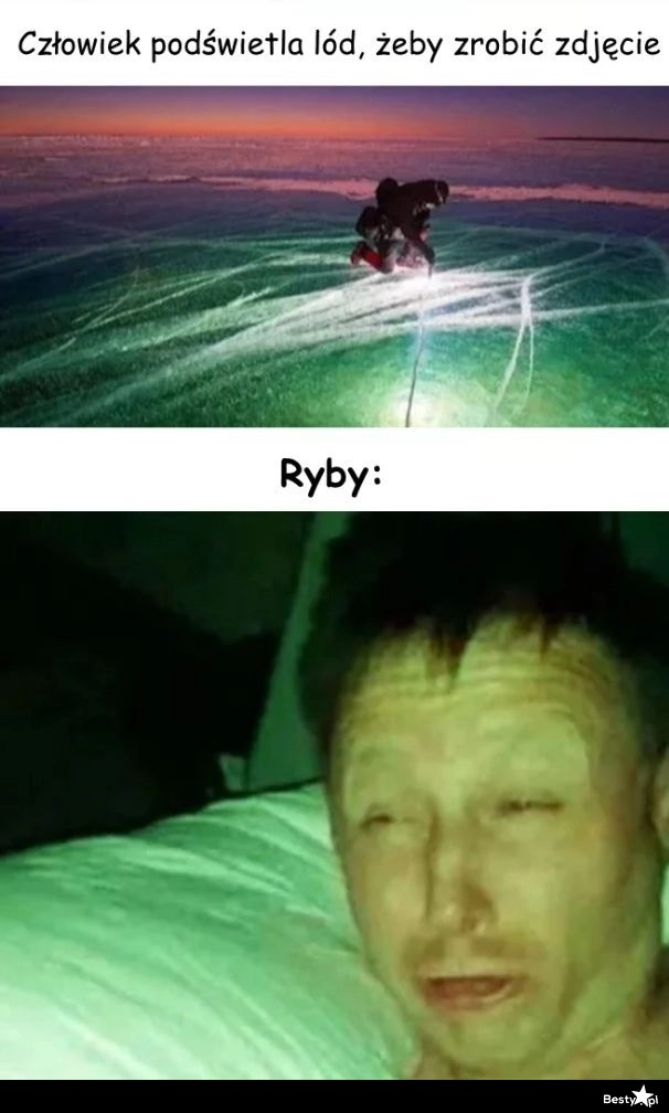 
    Ryby 