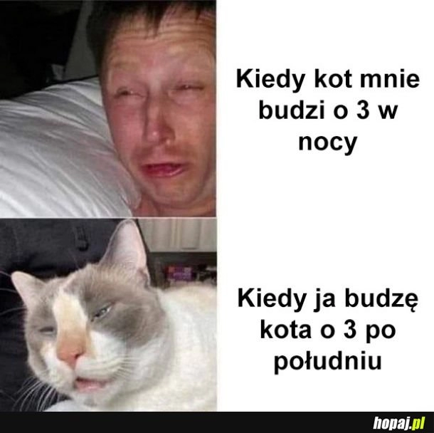 
    Pobudka