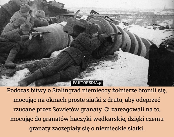 
    Podczas bitwy o Stalingrad niemieccy żołnierze bronili się, mocując na oknach