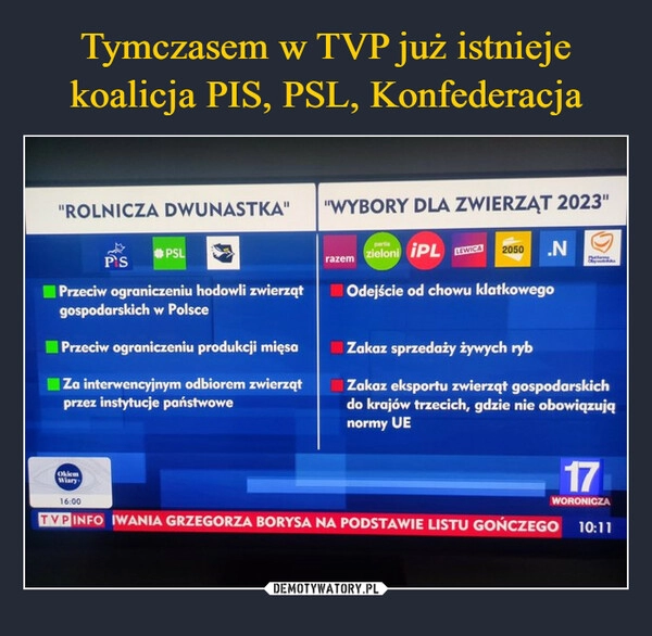 
    Tymczasem w TVP już istnieje koalicja PIS, PSL, Konfederacja