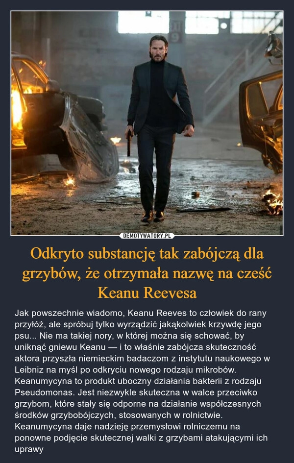 
    Odkryto substancję tak zabójczą dla grzybów, że otrzymała nazwę na cześć Keanu Reevesa