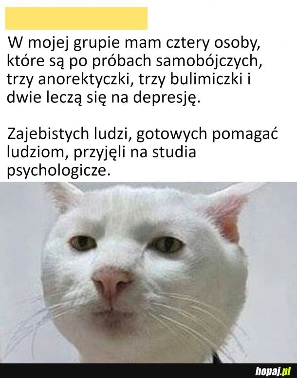 
    Cóż mogę powiedzieć