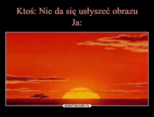 
    Ktoś: Nie da się usłyszeć obrazu
Ja: