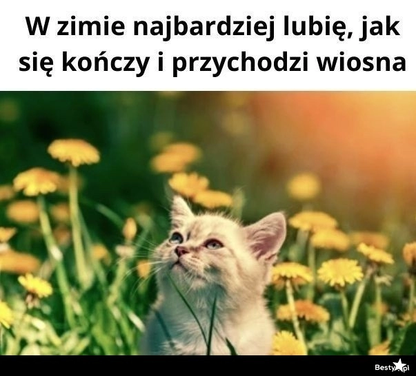 
    Najlepsza rzecz w zimie 