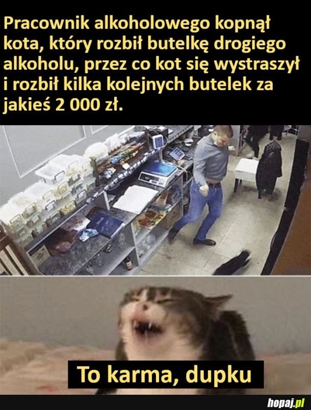 
    Karma go dopadła