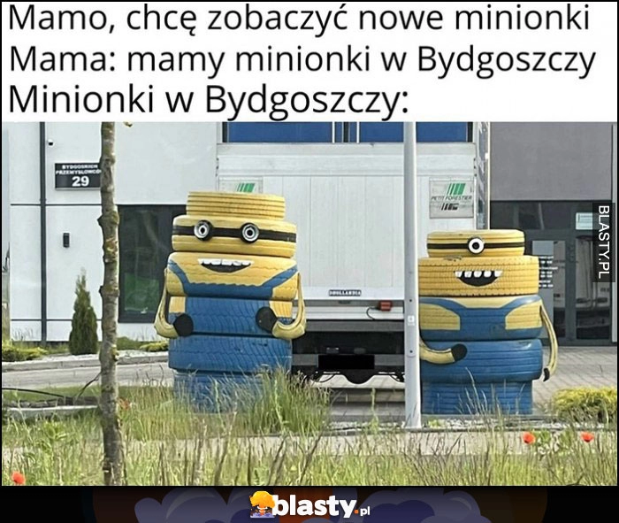 
    Mamo, chcę zobaczyć nowe Minionki, mama: mamy minionki w Bydgoszczy vs jak wyglądają Minionki w Bydgoszczy