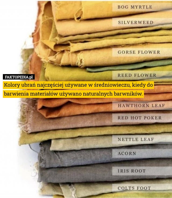 
    Kolory ubrań najczęściej używane w średniowieczu, kiedy do barwienia materiałów