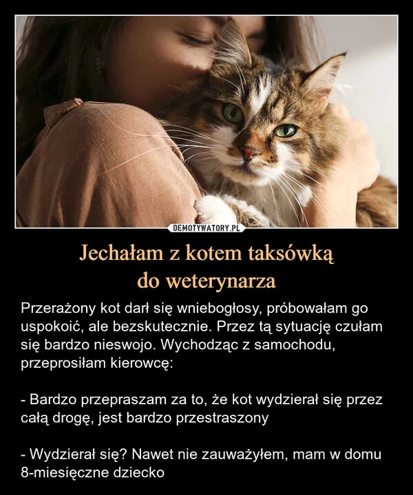 
    Jechałam z kotem taksówką
do weterynarza