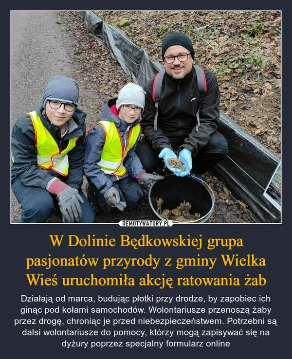 
    W Dolinie Będkowskiej grupa pasjonatów przyrody z gminy Wielka Wieś uruchomiła akcję ratowania żab