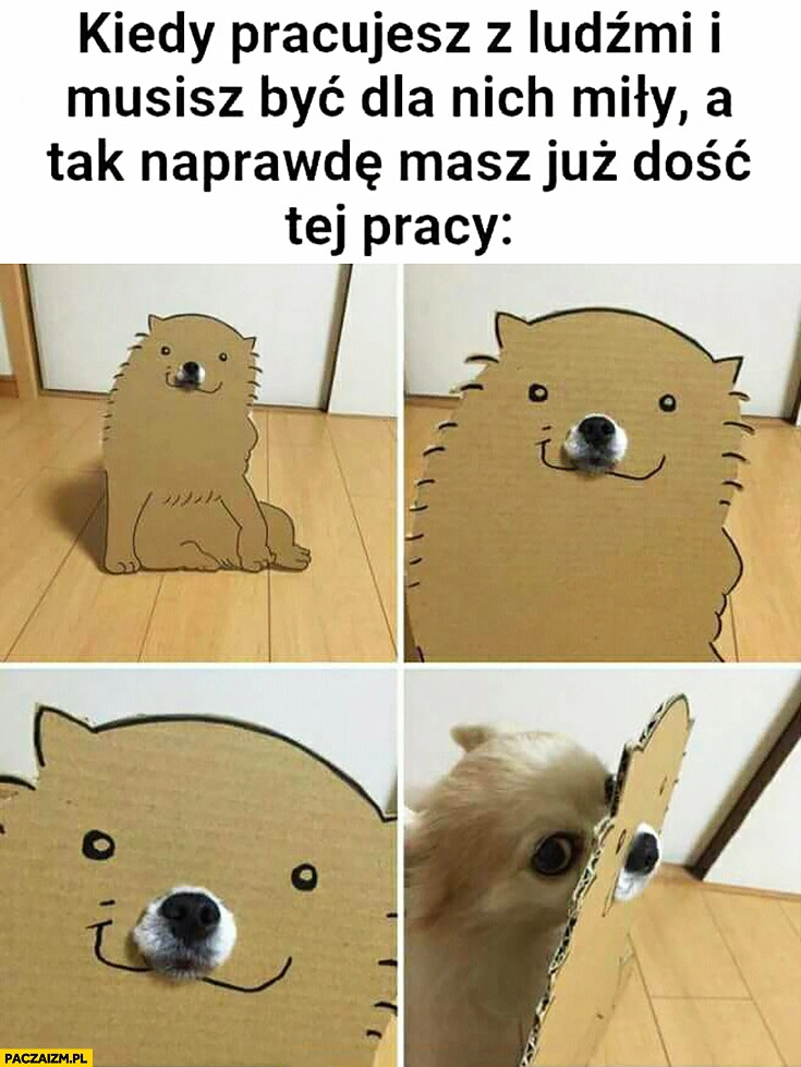 
    Kiedy pracujesz z ludźmi i musisz być dla nich miły, a tak naprawdę masz już dość tej pracy. Pies w przebraniu tektura