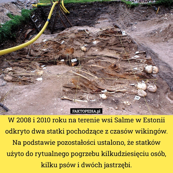 
    W 2008 i 2010 roku na terenie wsi Salme w Estonii odkryto dwa statki pochodzące