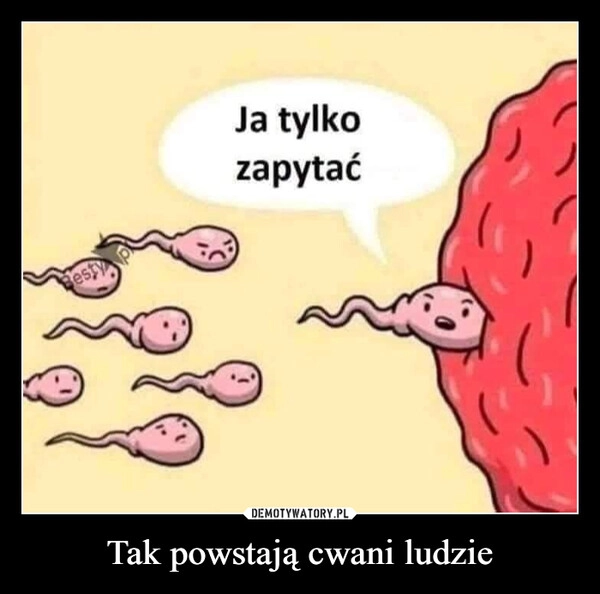 
    Tak powstają cwani ludzie