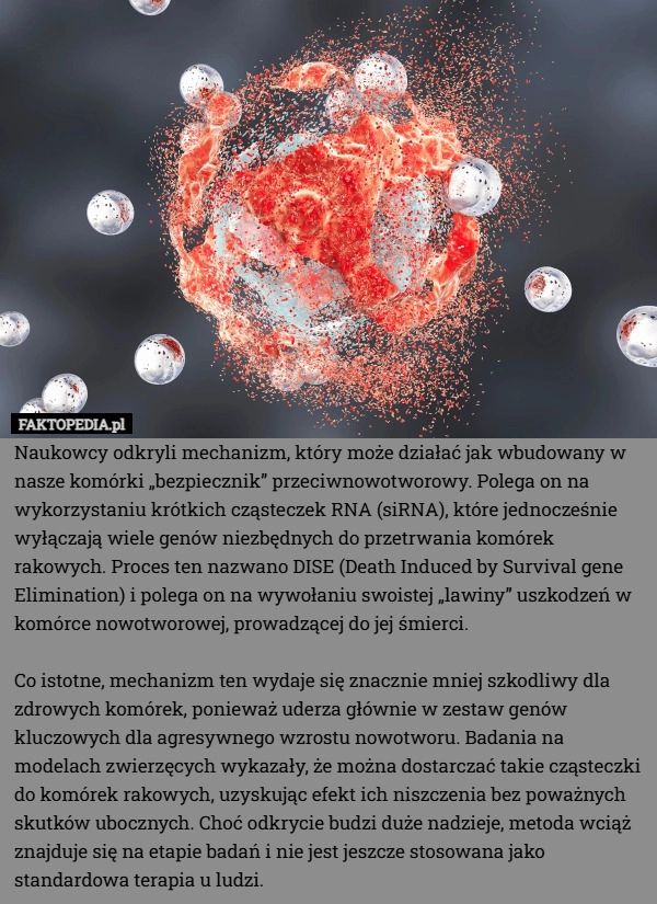 
    Naukowcy odkryli mechanizm, który może działać jak wbudowany w nasze komórki