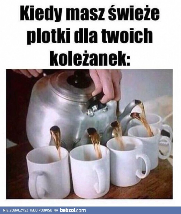 
    Ploteczki