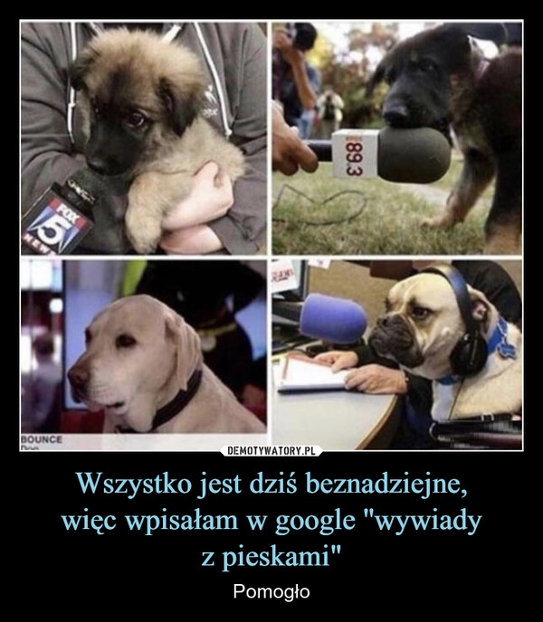 
    Wszystko jest dziś beznadziejne,
więc wpisałam w google ''wywiady
z pieskami"