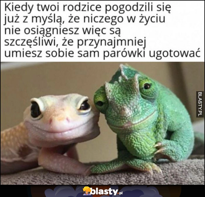 
    Kiedy twoi rodzice pogodzili się z myślą, że niczego w życiu nie osiągniesz więc są szczęśliwi, że przynajmniej umiesz sobie sam parówki ugotować