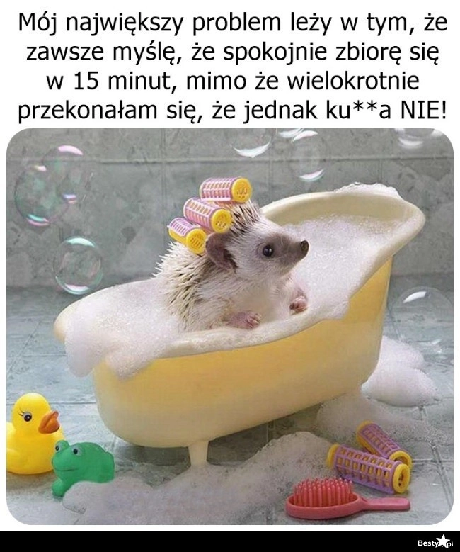 
    Sorry, jednak się spóźnię 