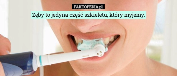 
    Zęby to jedyna część szkieletu, który myjemy.