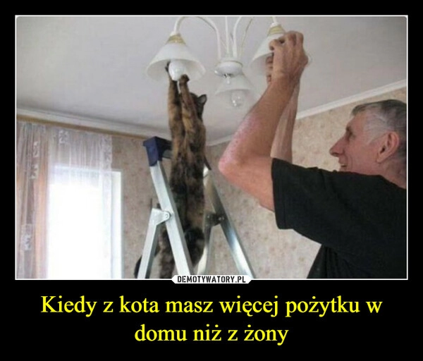 
    Kiedy z kota masz więcej pożytku w domu niż z żony