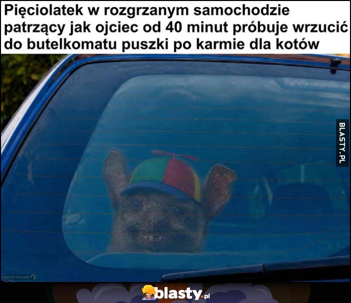 
    Pięciolatek w rozgrzanym samochodzie patrzący jak ojciec od 40 minut próbuje wrzucić do butelkomatu puszki po karmie dla kotów