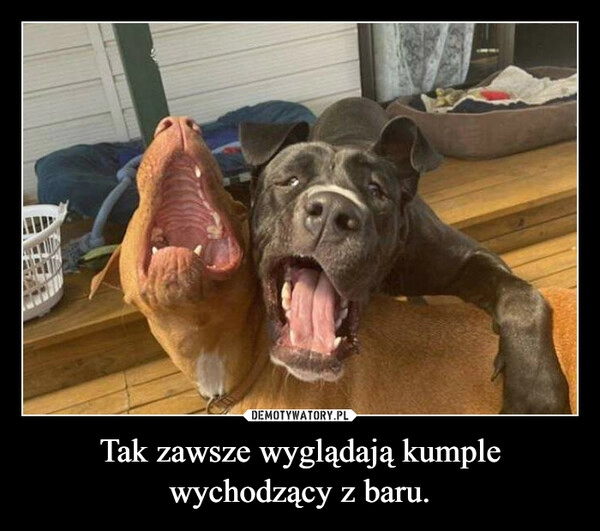 
    Tak zawsze wyglądają kumple wychodzący z baru.