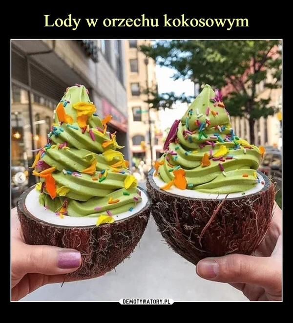 
    Lody w orzechu kokosowym